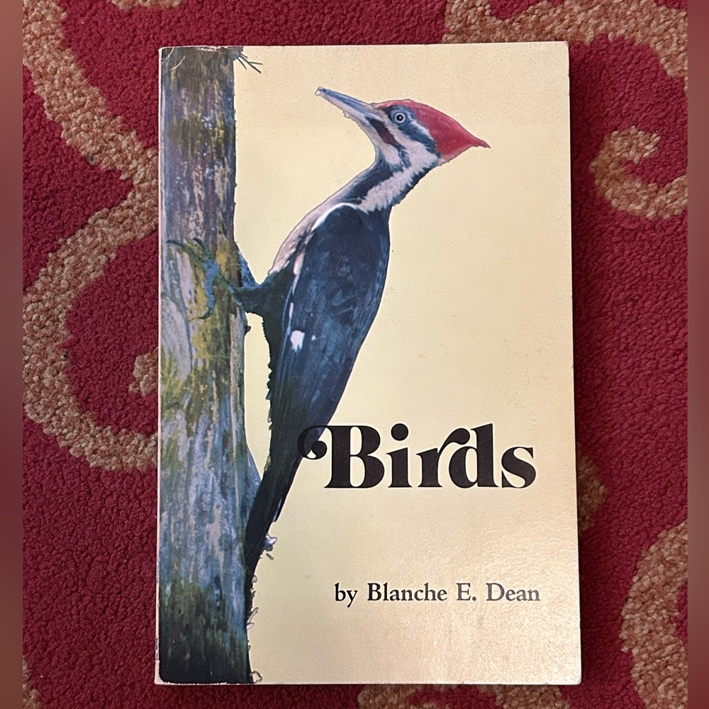 Birds by Blanche E. Dean Vintage Book